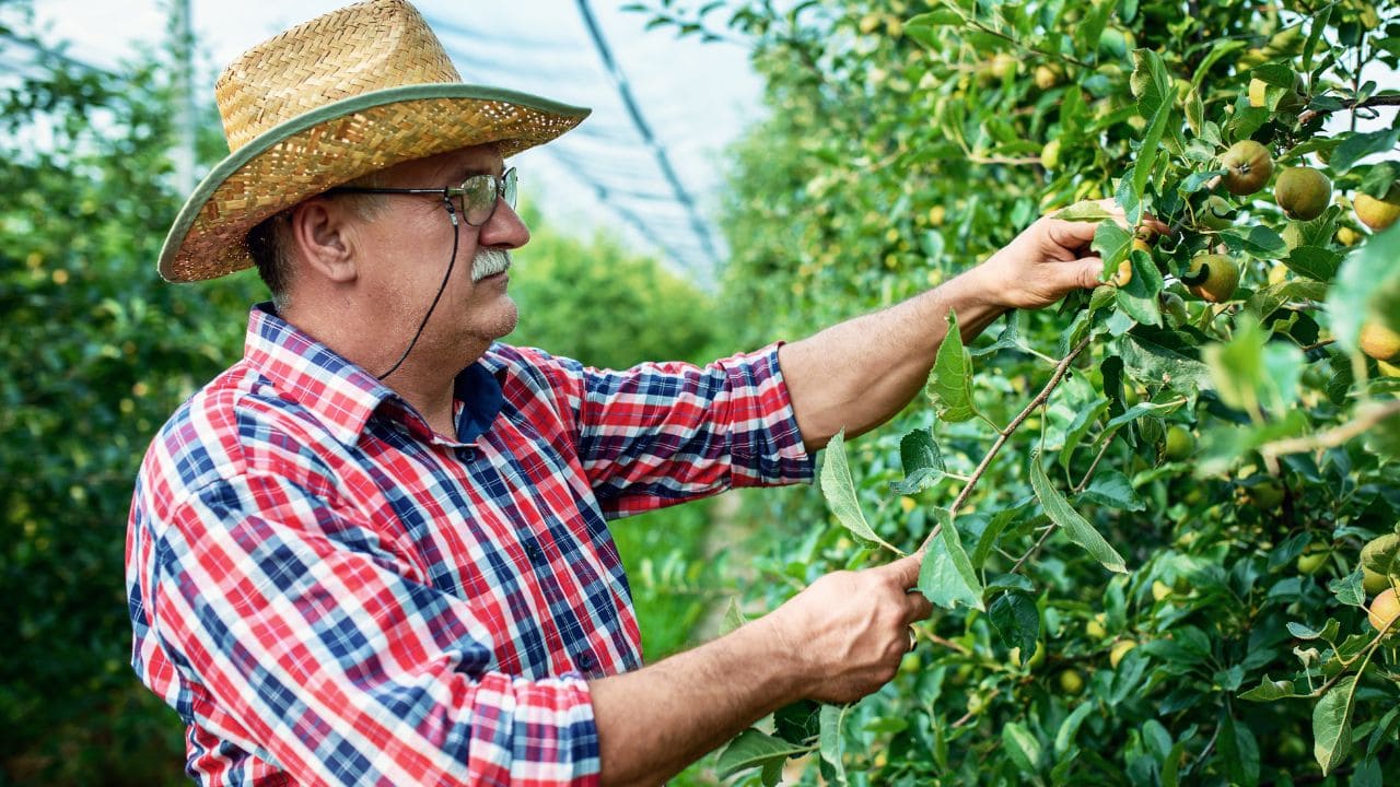 COAG Andalucía solicita la jubilación anticipada para agricultores y ganaderos