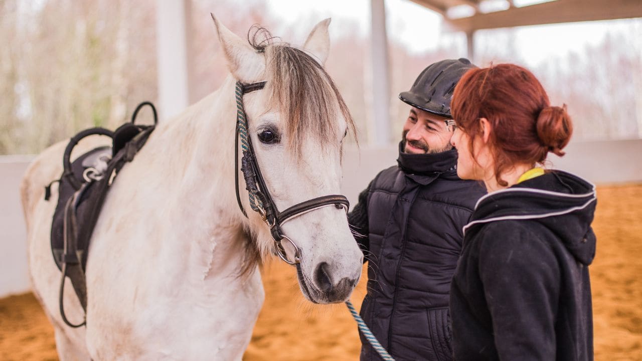 Terapias ecuestres para personas con discapacidad