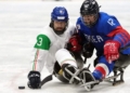 Hockey paralímpico sobre hielo