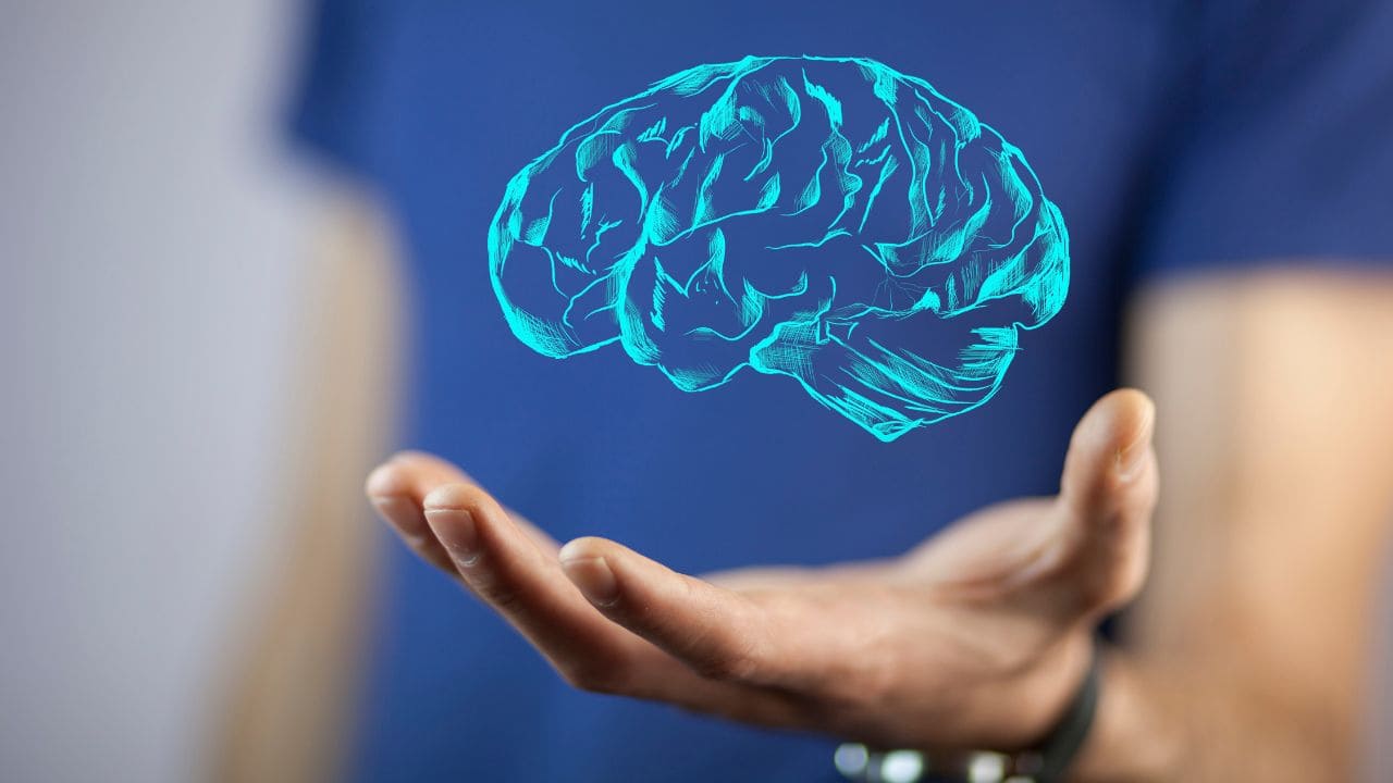 Día Mundial del Cerebro 2025