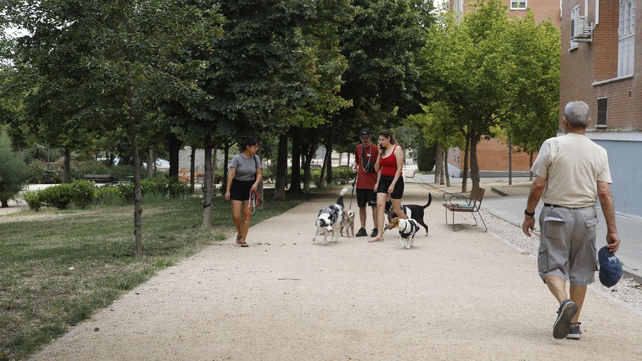 Mejoras de accesibilidad en el parque de La Viña de Entrevías