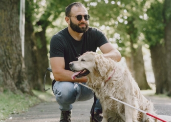 Nueva deducción fiscal en Andalucía para personas con perros de asistencia